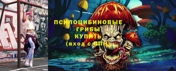 крисы Ладушкин