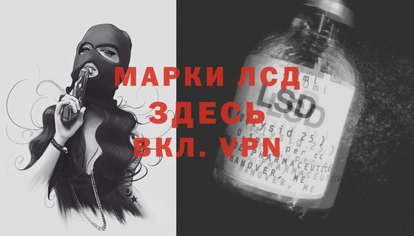 ГАЛЛЮЦИНОГЕННЫЕ ГРИБЫ Лабытнанги